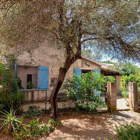 Maison Agosta - Pour 5 à 500 M De La * Albitreccia
