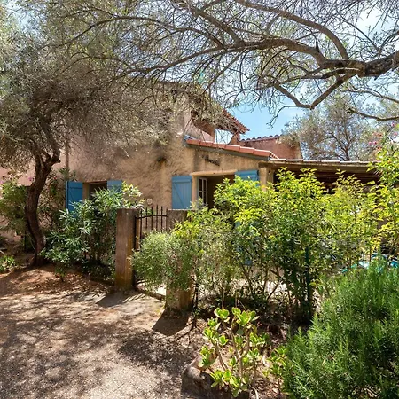 Maison Agosta - Pour 5 à 500 M De La Albitreccia